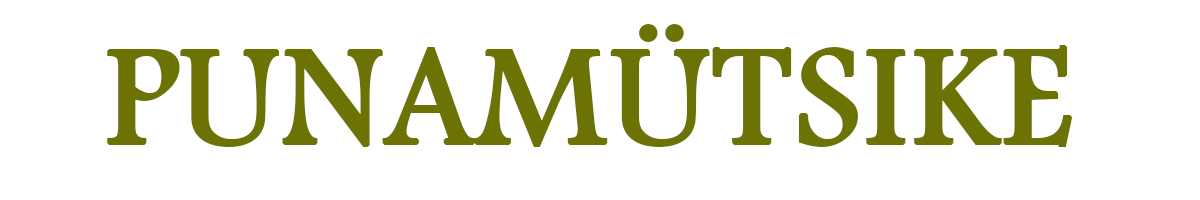 PUNAMÜTSIKE