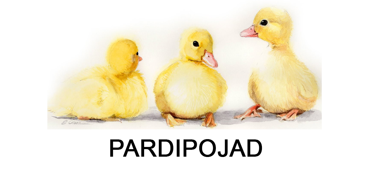 PARDIPOJAD