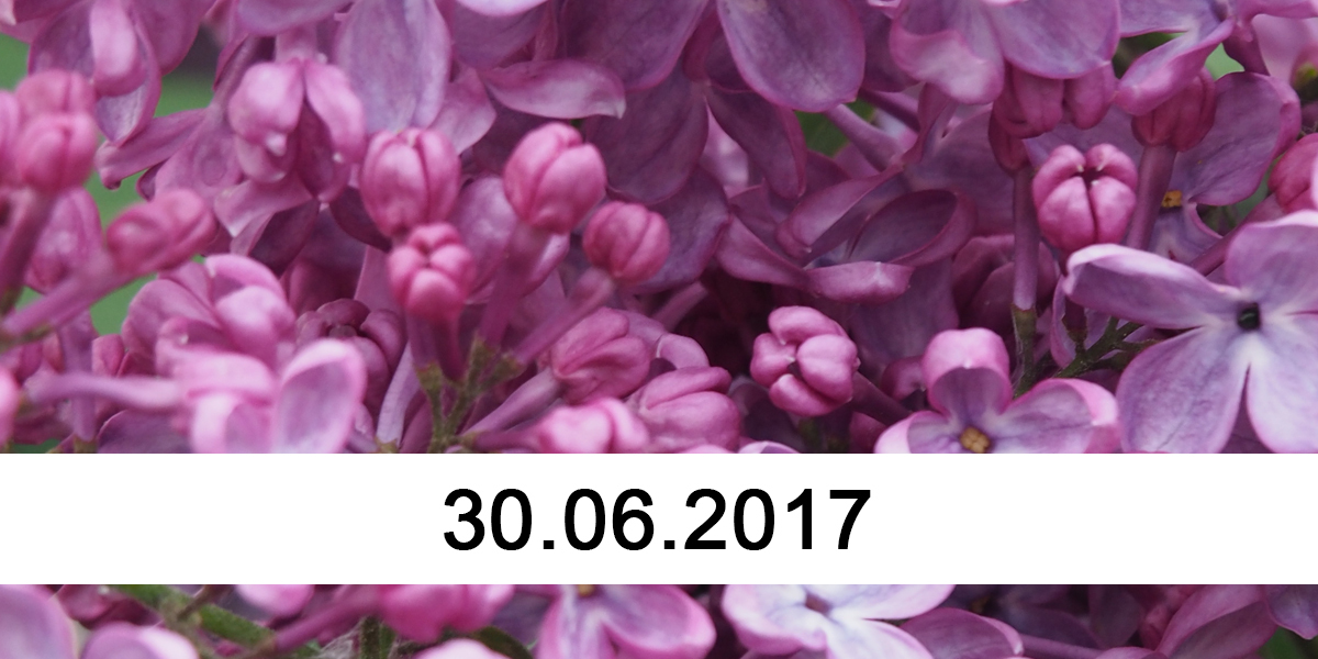 30.06.2017